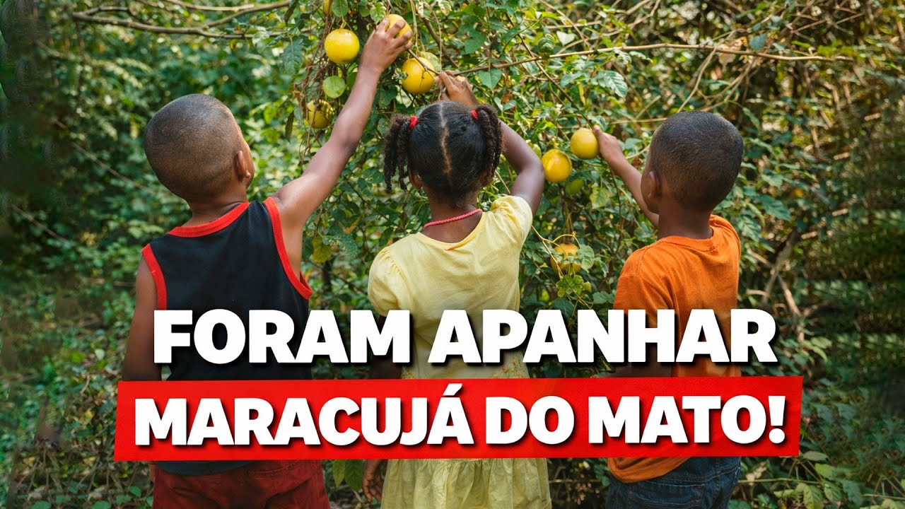 Caso das Crianças Desaparecidas de Bacabal ganha novas revelações inéditas!