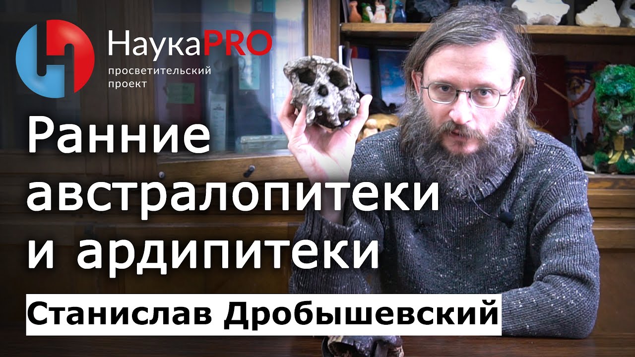 Ранние австралопитеки и ардипитеки &ndash; Станислав Дробышевский | Лекции по антропологии | Научпоп