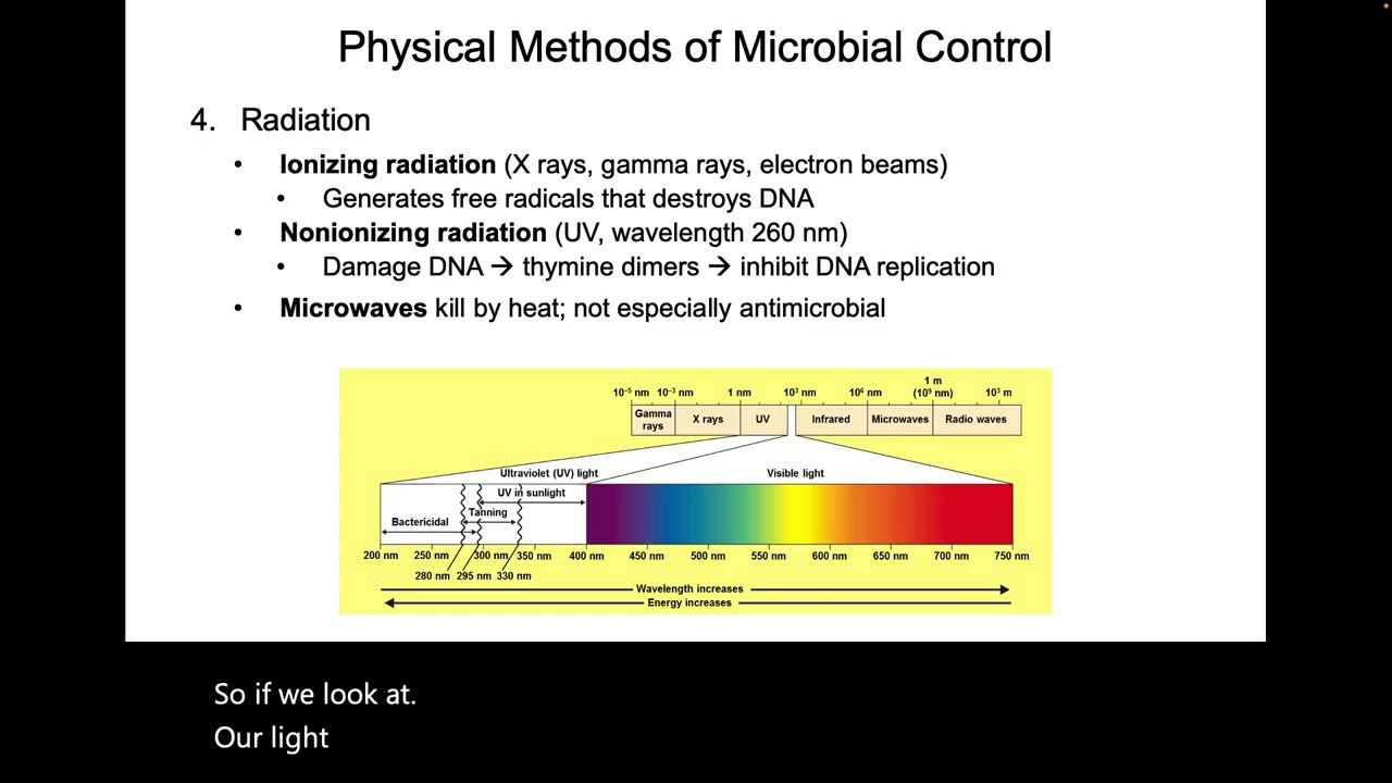 MBIO 3010 0226