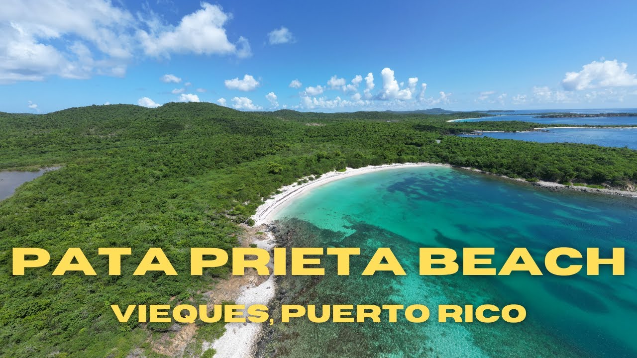 Pata Prieta Beach | Vieques Island, Puerto Rico