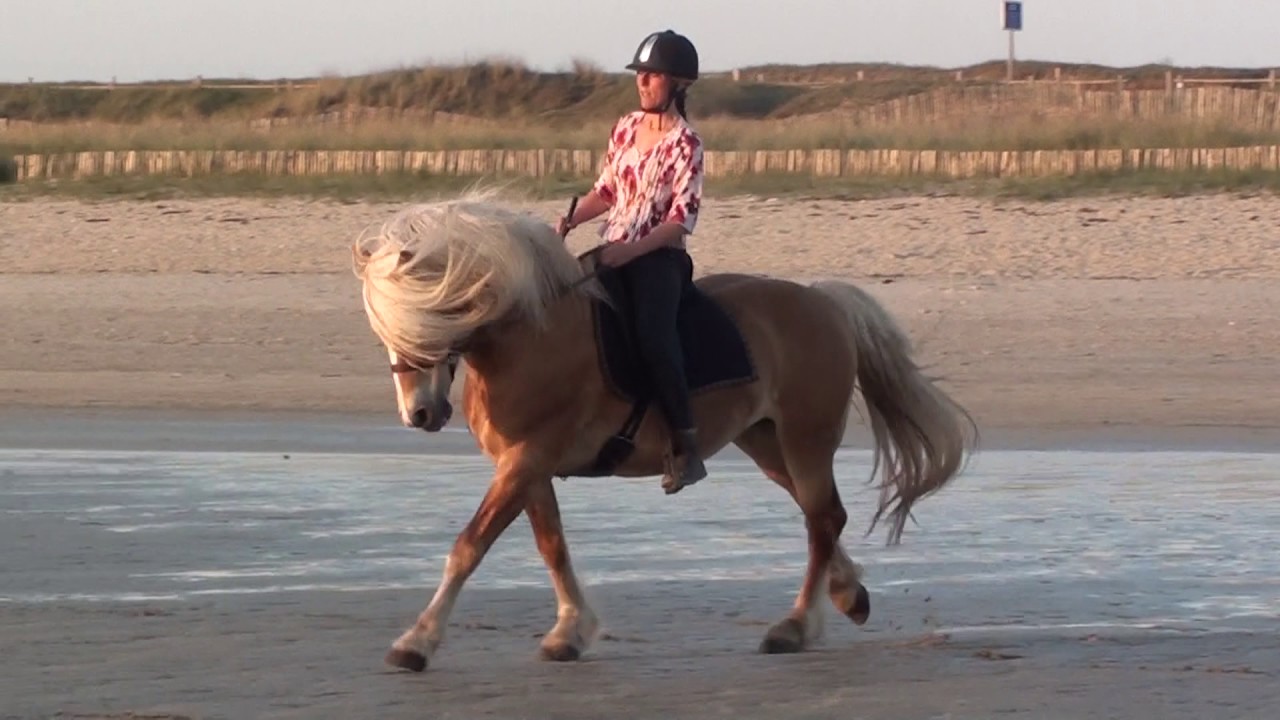 Etalon Penn Ar Stivell - mix avril mai