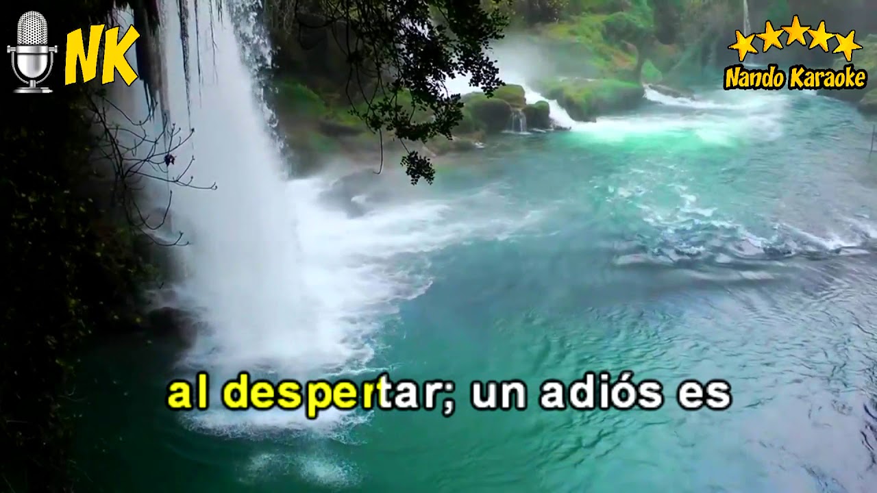 UN ADIÓS -  Tony Landa KARAOKE