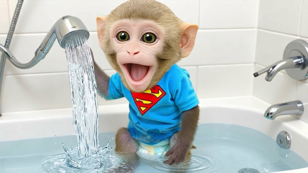 Bim Menemukan Air dan Langsung Mandi Sendiri! 💦🐒