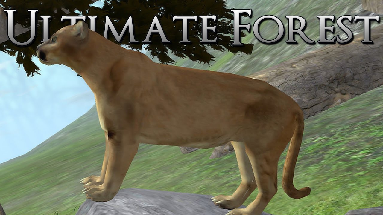 Prowling the Forest for Prey!! • Ultimate Forest Simulator