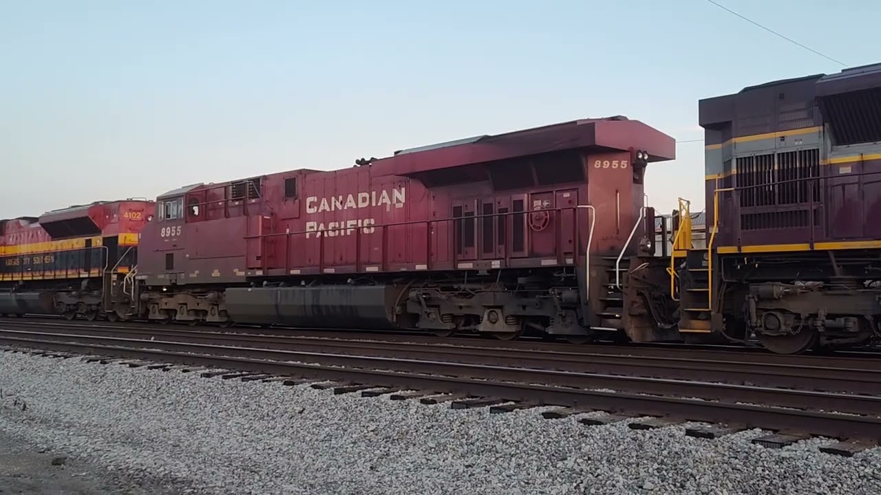 NS 12Q