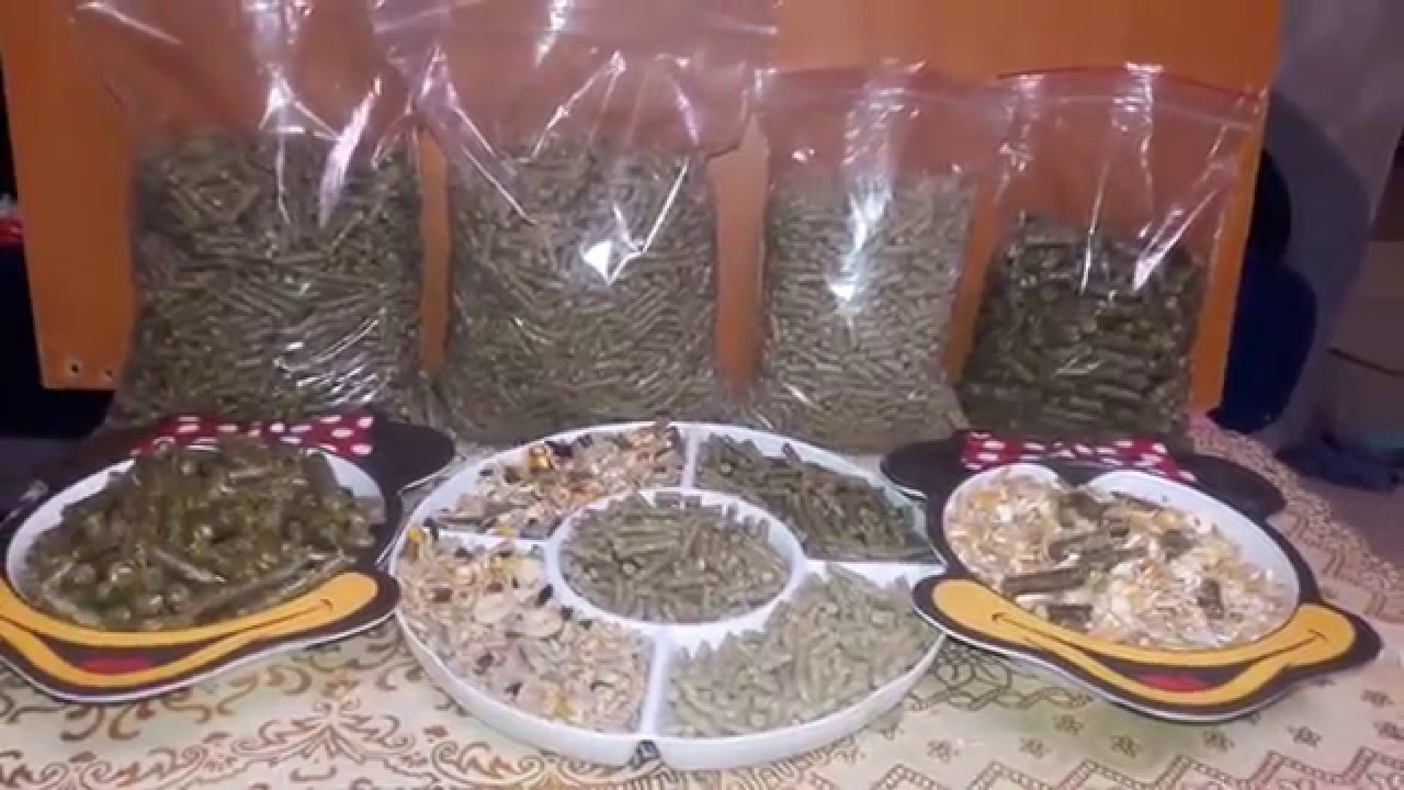 Каким должен быть Гранулят для Шиншилл!🐾Внешний вид, Запах и Состав🐾🍓🍎🌳🍀🍃🌸🌹🌿🌾🌽🐾🐾