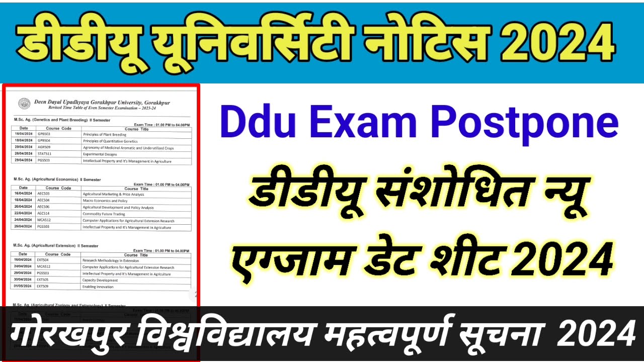 Ddu New Exam Date Sheet 2024 | Ddu Exam Notice 2024 | Ddu Ex Postponed|