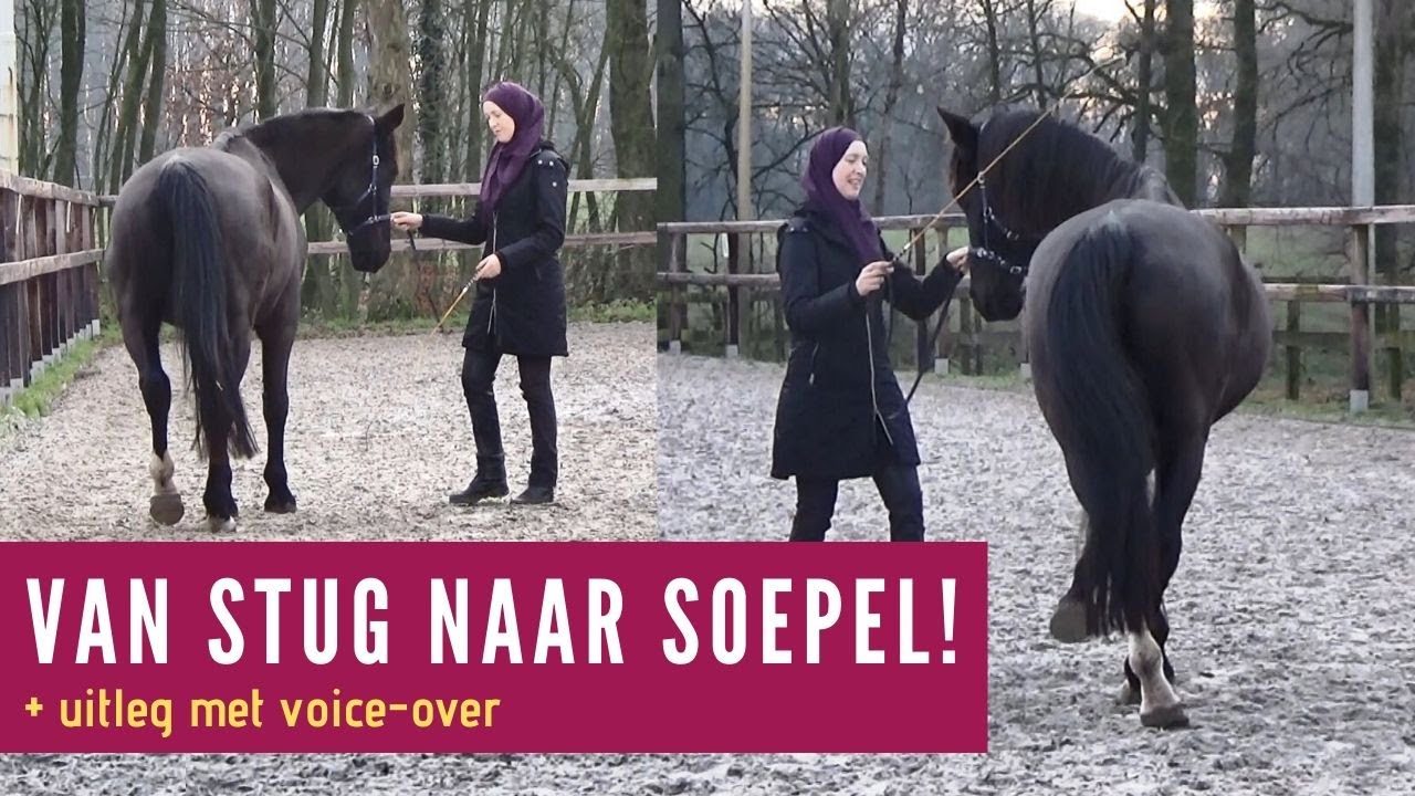 Grondwerk helpt Ronnie MEGA GOED!  | snuitable