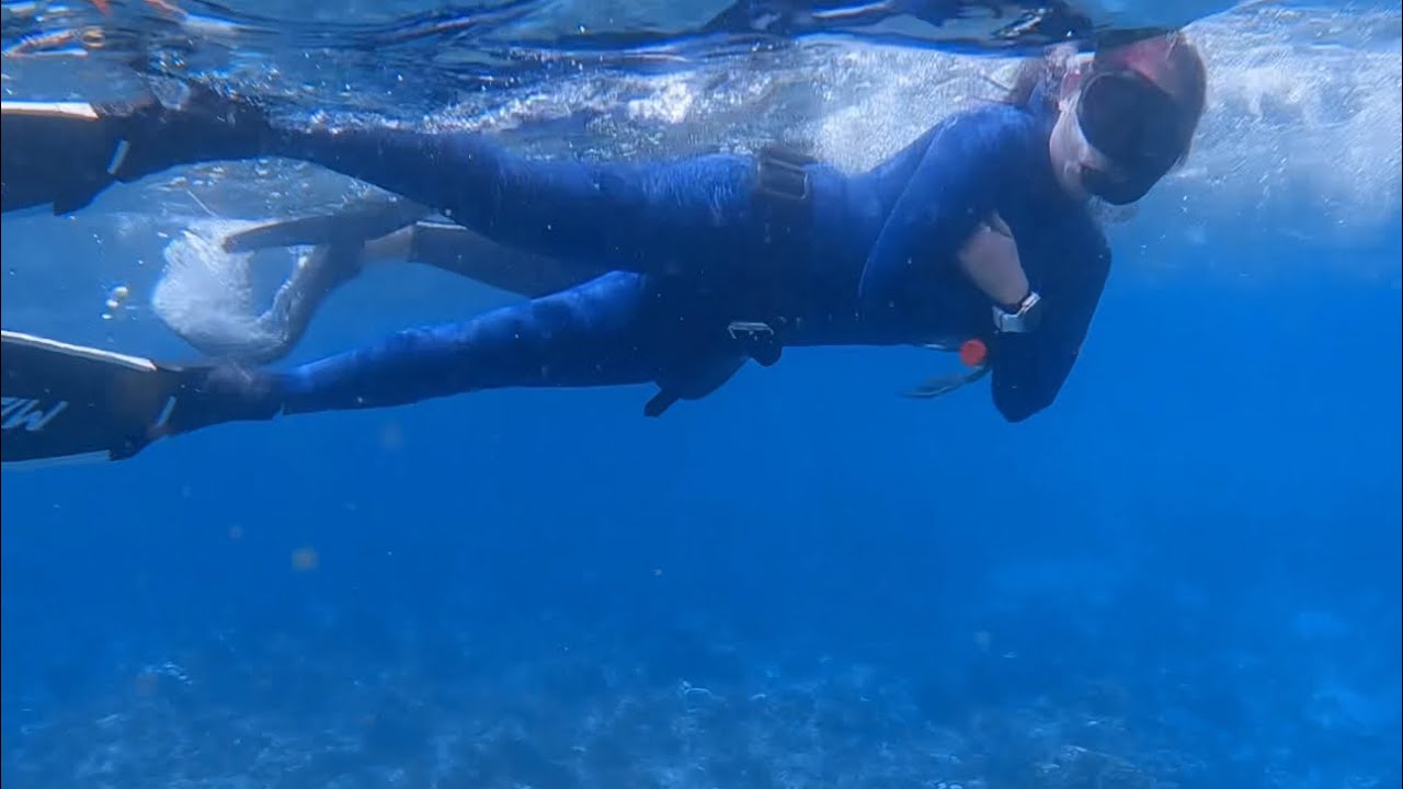 Free Dive