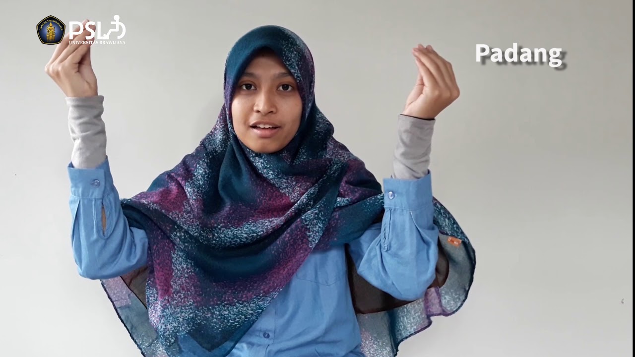 Bahasa Isyarat Indonesia: Daerah di Indonesia dan Negara di Dunia