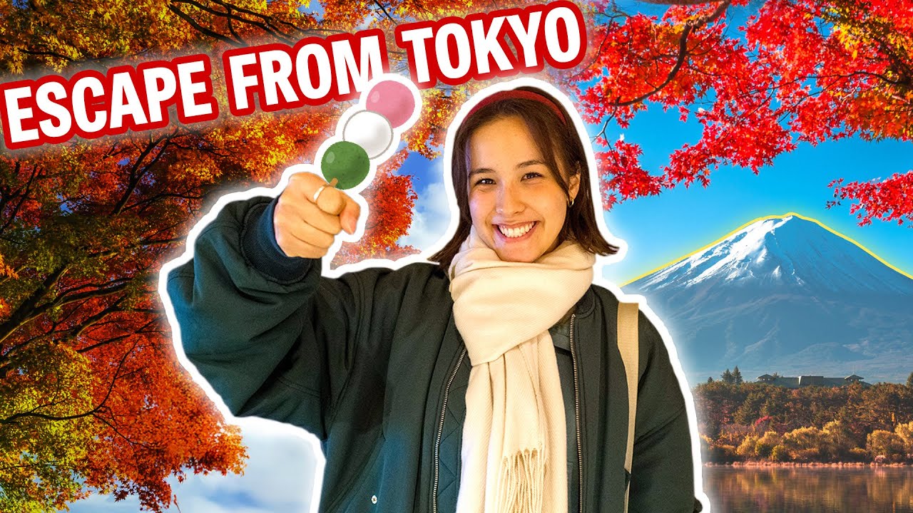 The Best Day Trip From Tokyo: Your Guide to Mount Takao