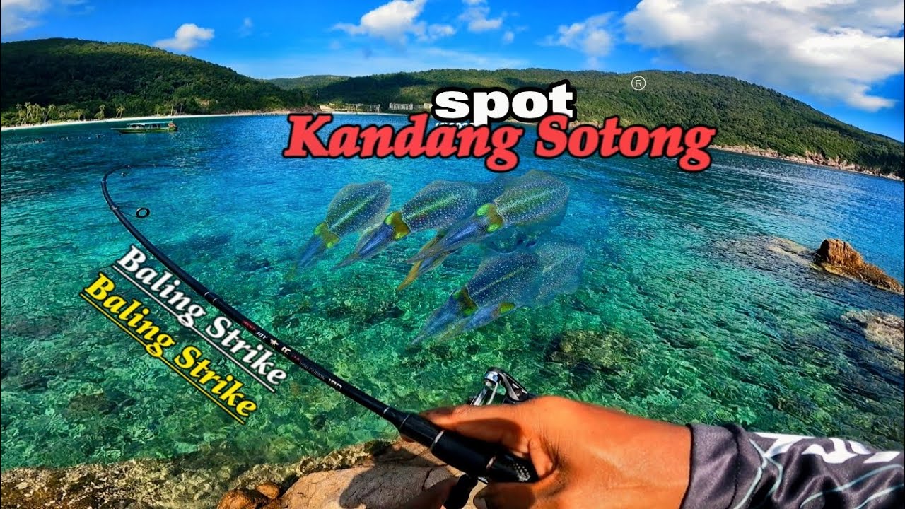 EGING ||Pesta Strike di kandang sotong. V05