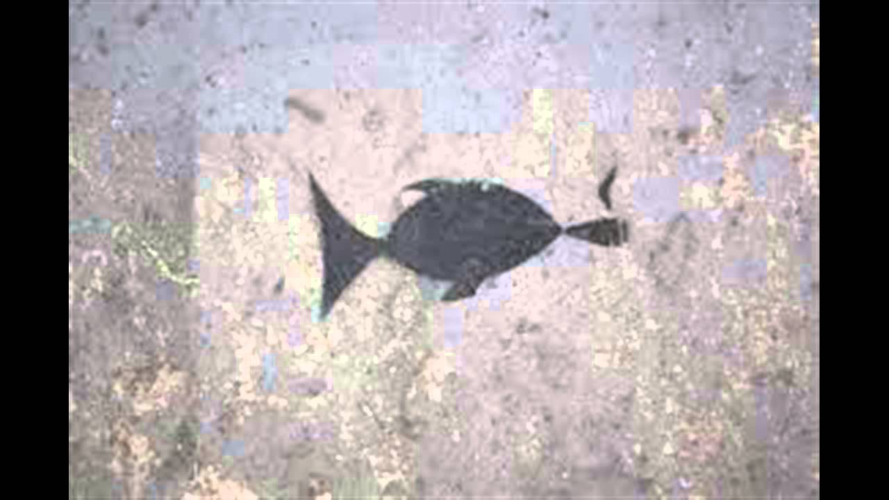 Allukala-  Gangstafunkin Dunkki