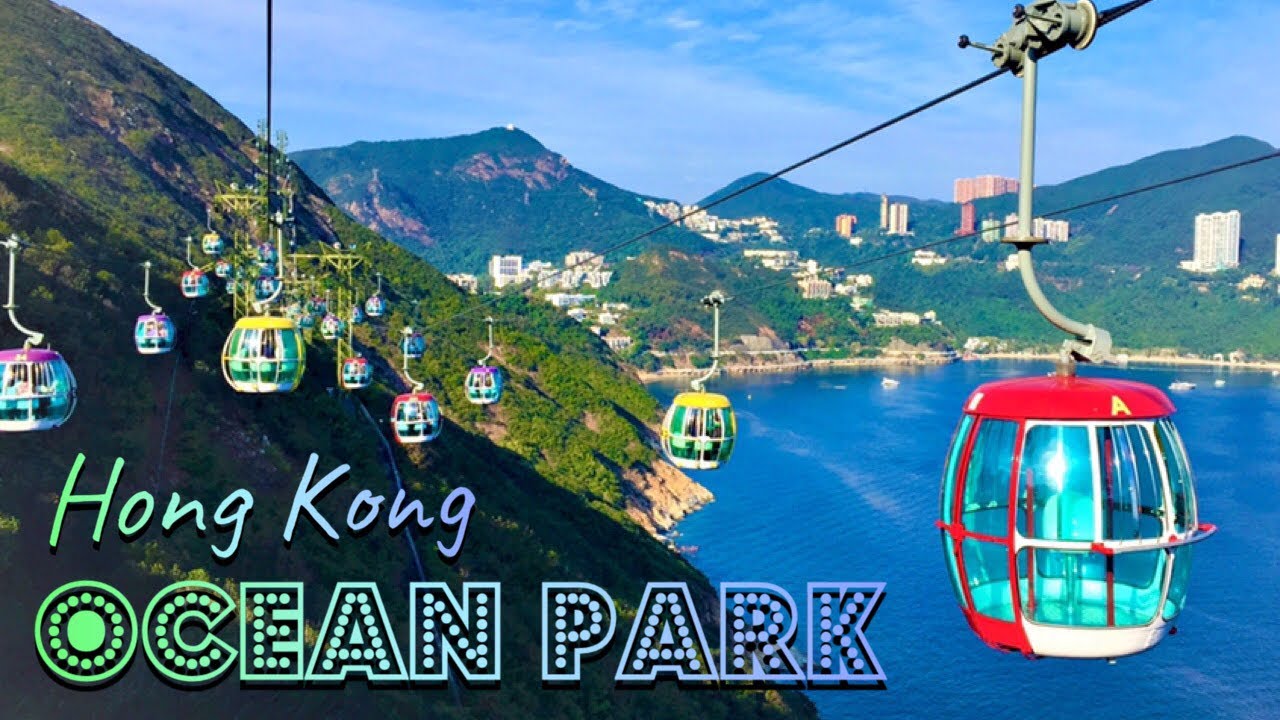 HK OCEAN PARK 2019