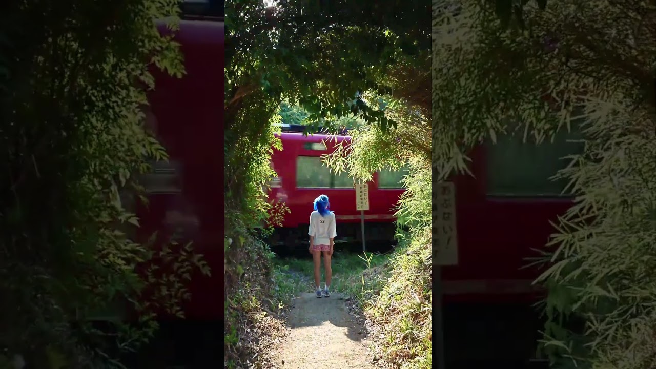 Found a Ghibli-Like path IRL 