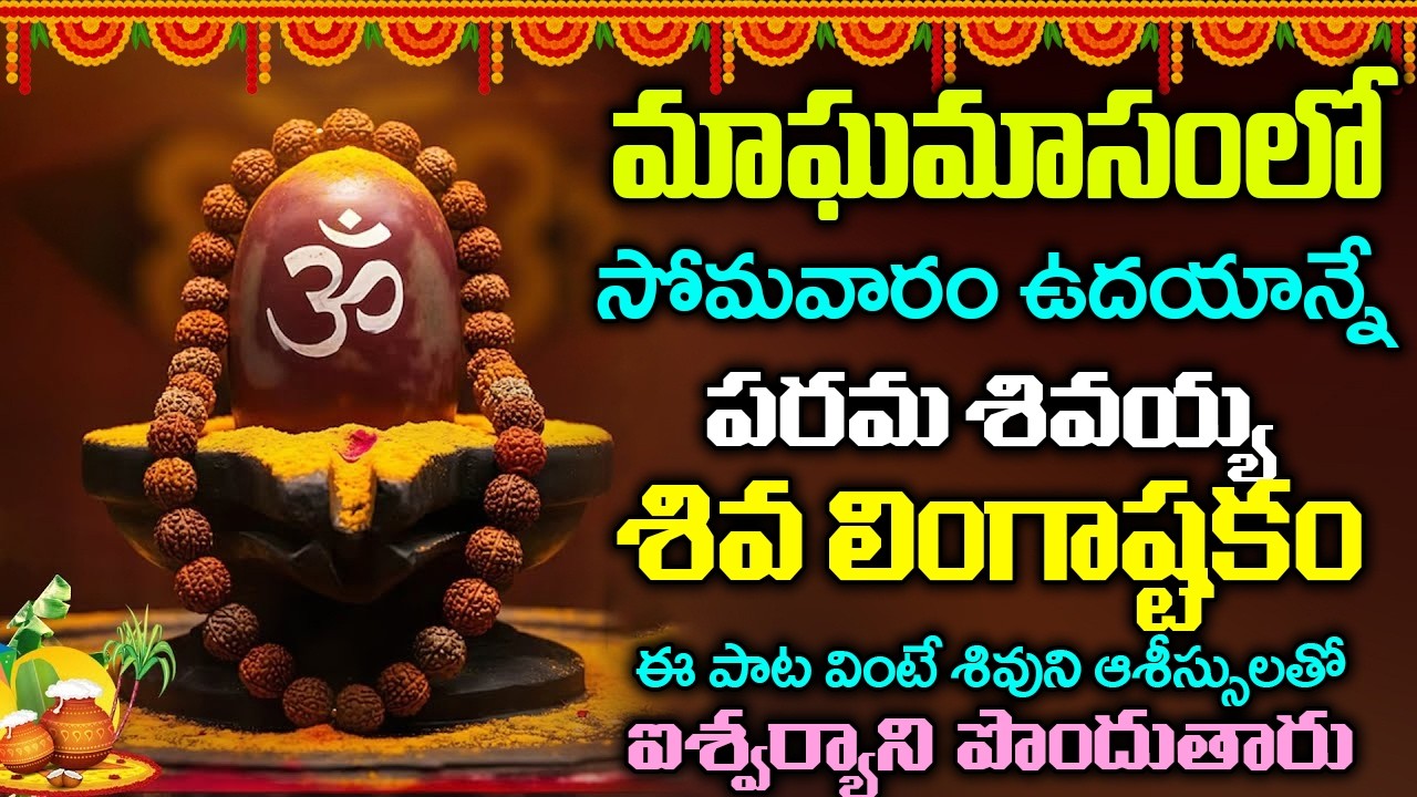 సోమవారం లింగాష్టకం వింటే మహాశివుని చూపు మీ పై పడి పట్టిందల్లా బంగారమే - Shiva Lingashtakam