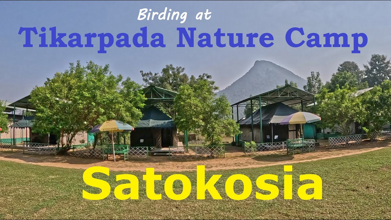 Ep 4/15: Birding at Satkosia - Tikarpada Nature Camp | Malabar Pied Hornbill, Tawny bellied Babbler
