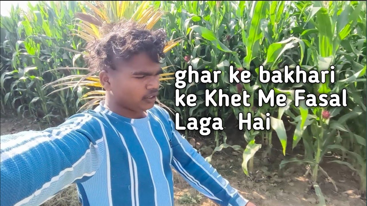 Ghar Ka Kheti || 🌾🌿🪻Khet Ka view ? #crbsunilvlogs #vlog 