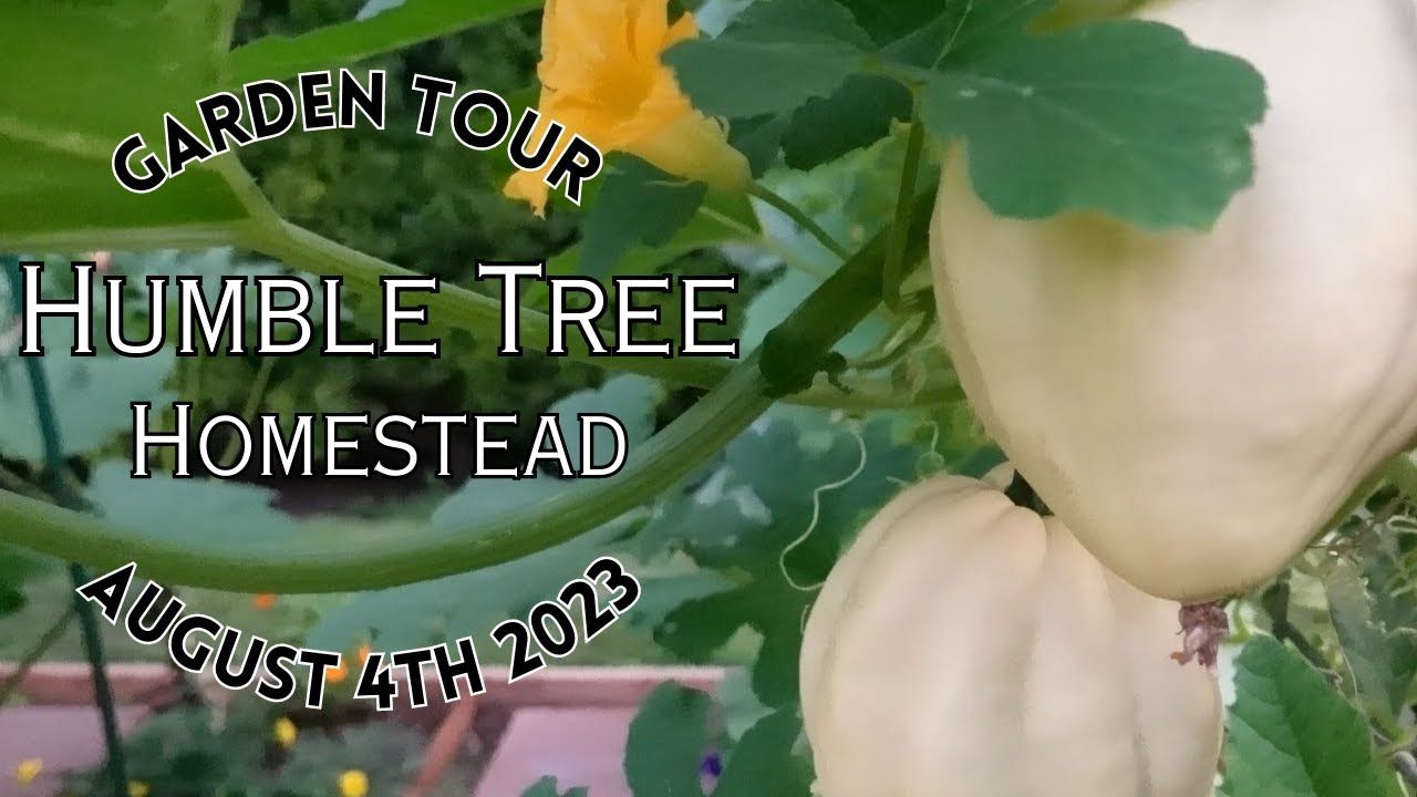 Garden Tour Week 6