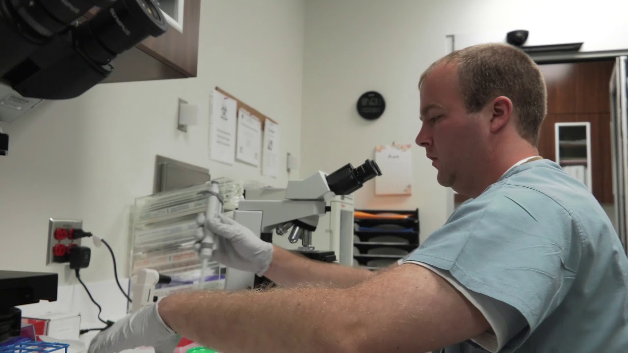 VCU Health Reproductive Medicine