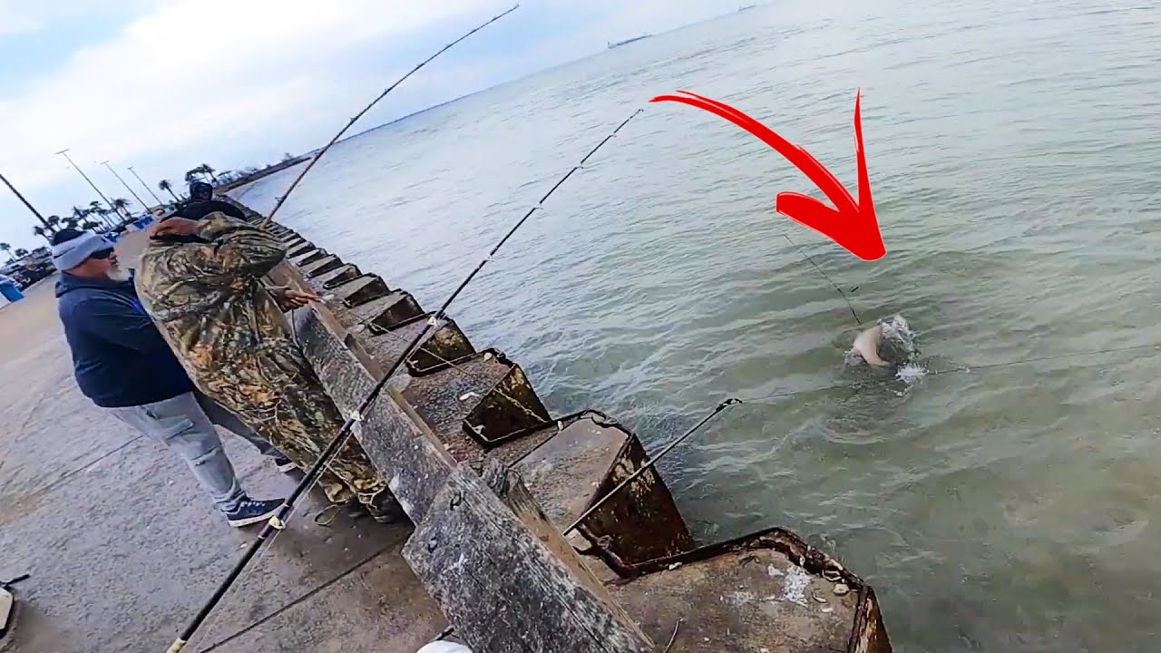 These Pier Fisherman HIT THE JACKPOT! (Seawolf Park Fishing)