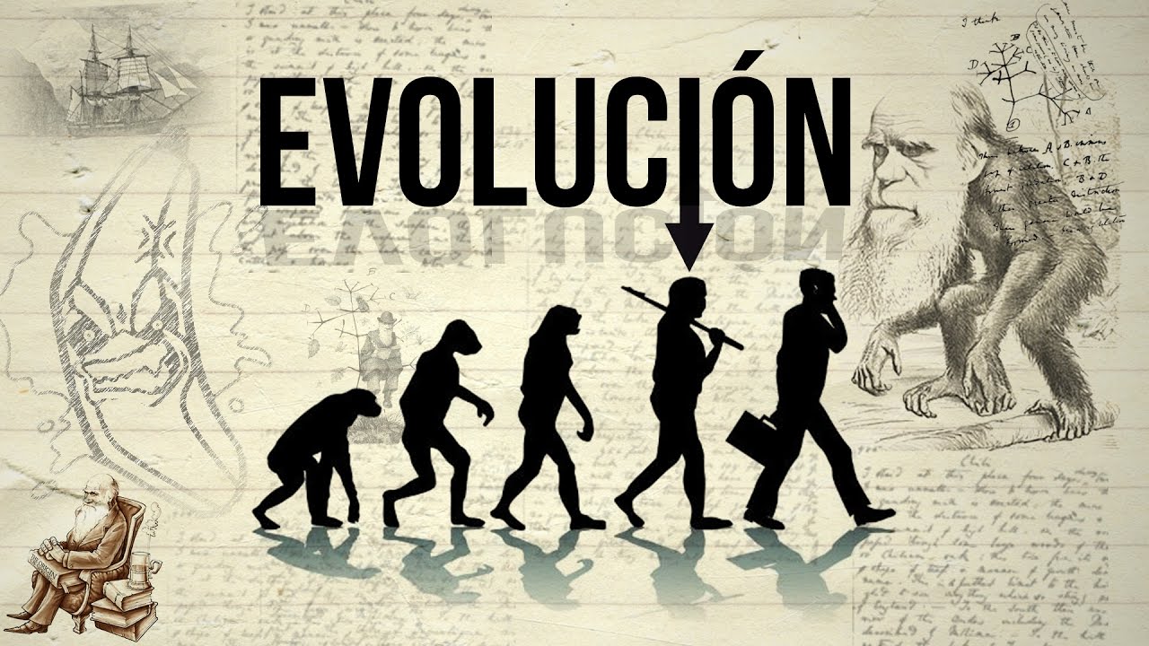 5 HECHOS | EVOLUCIÓN