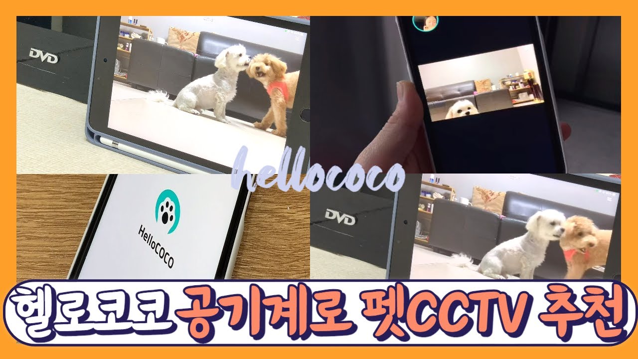 공기계cctv,펫cctv 어플하나면 사용이 가능하다구?