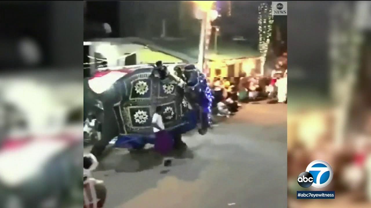 Elephants stampede: 18 injured during Sri Lanka Buddhist pageant | ABC7