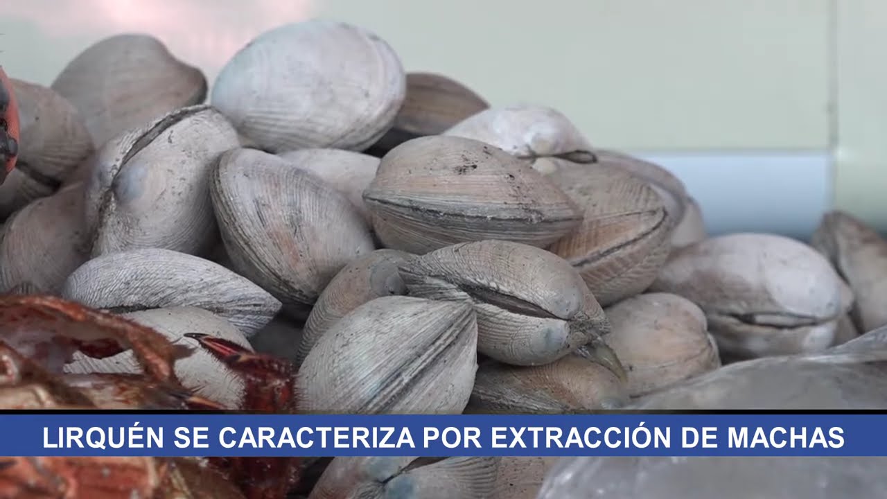 Lirqu&eacute;n revive su historia desde el mar: turismo y cocina familiar en su ic&oacute;nico Barrio Chino