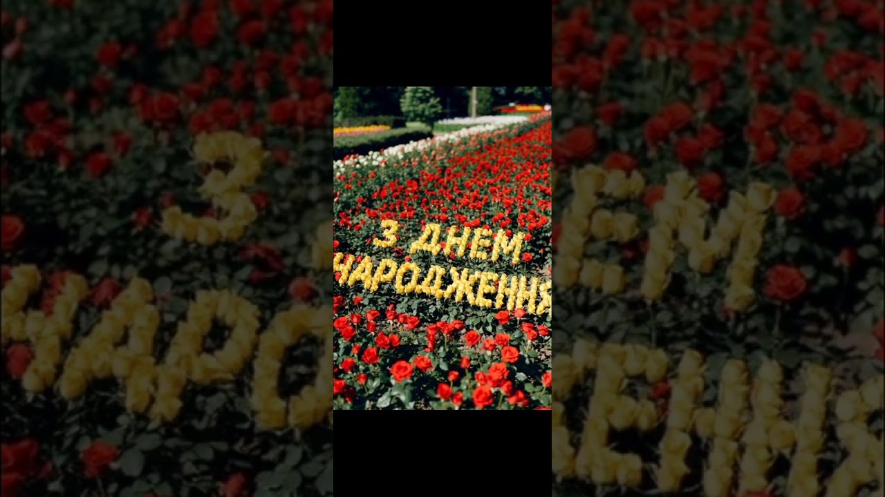 З Днем народження!!! ( частина 1)