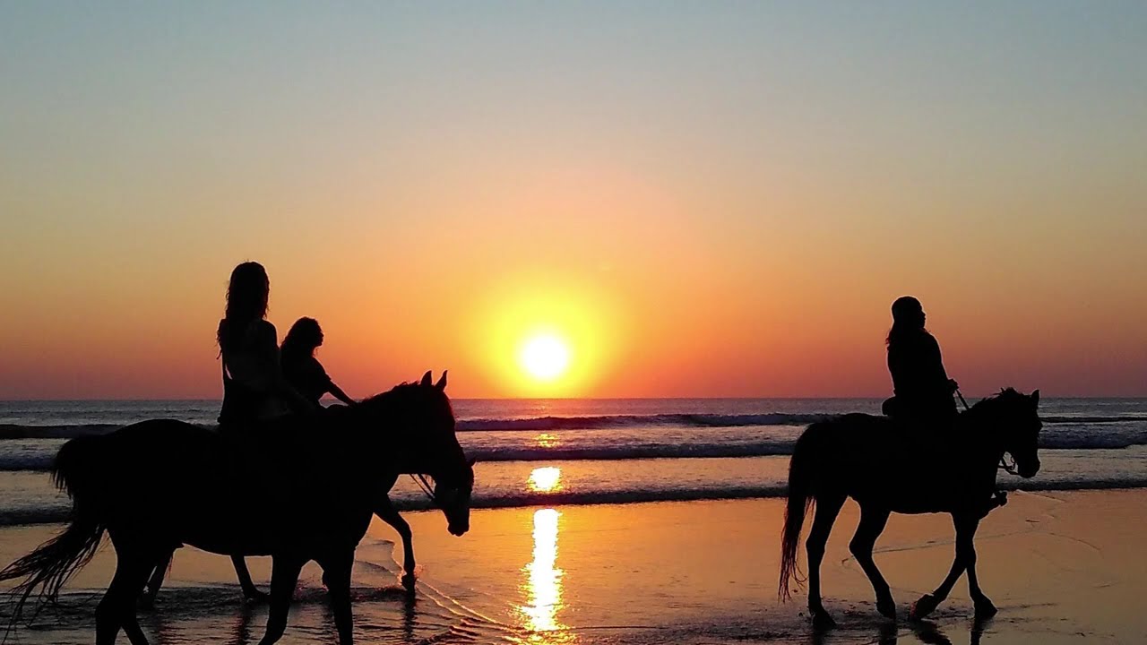 Khalil Gibran - Flamme meines Herzens - Hörbuch