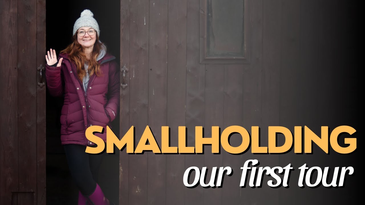 Итак, начинается &mdash; первый ТУР по НОВОМУ приусадебному участку