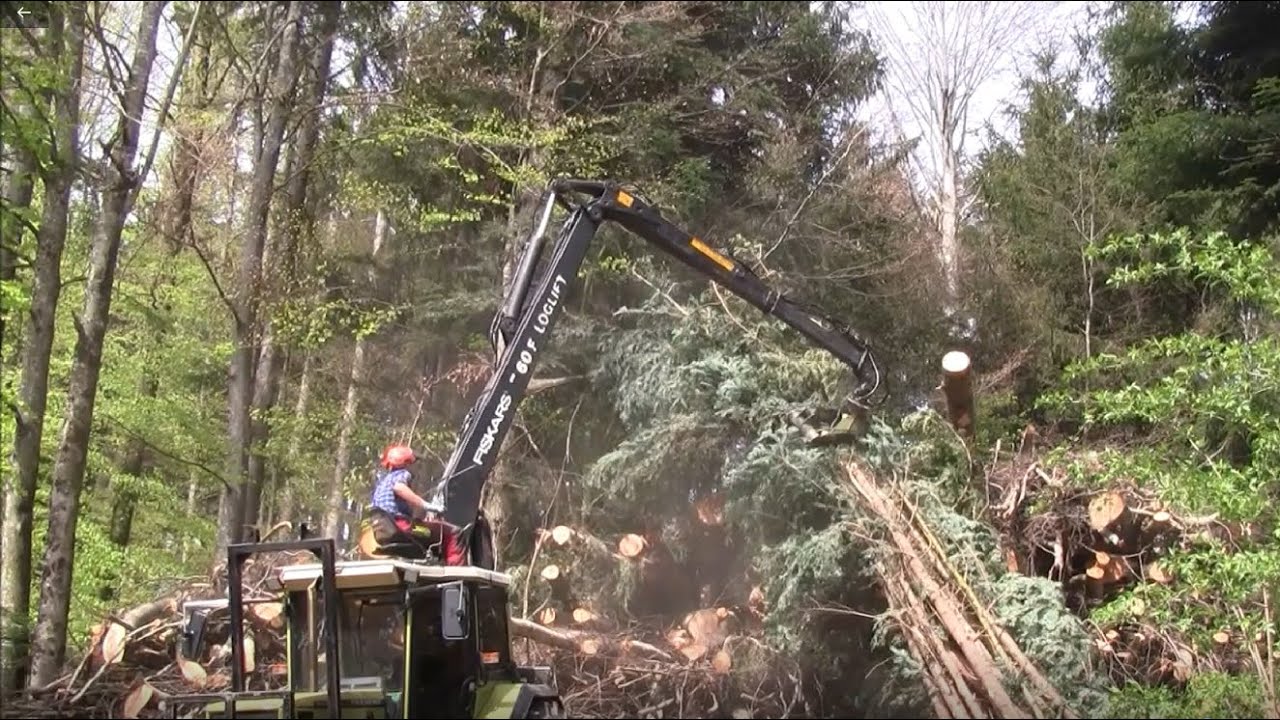 Hürlimann H 488 mit LOGLIFT F60 beim Hackholz schichten
