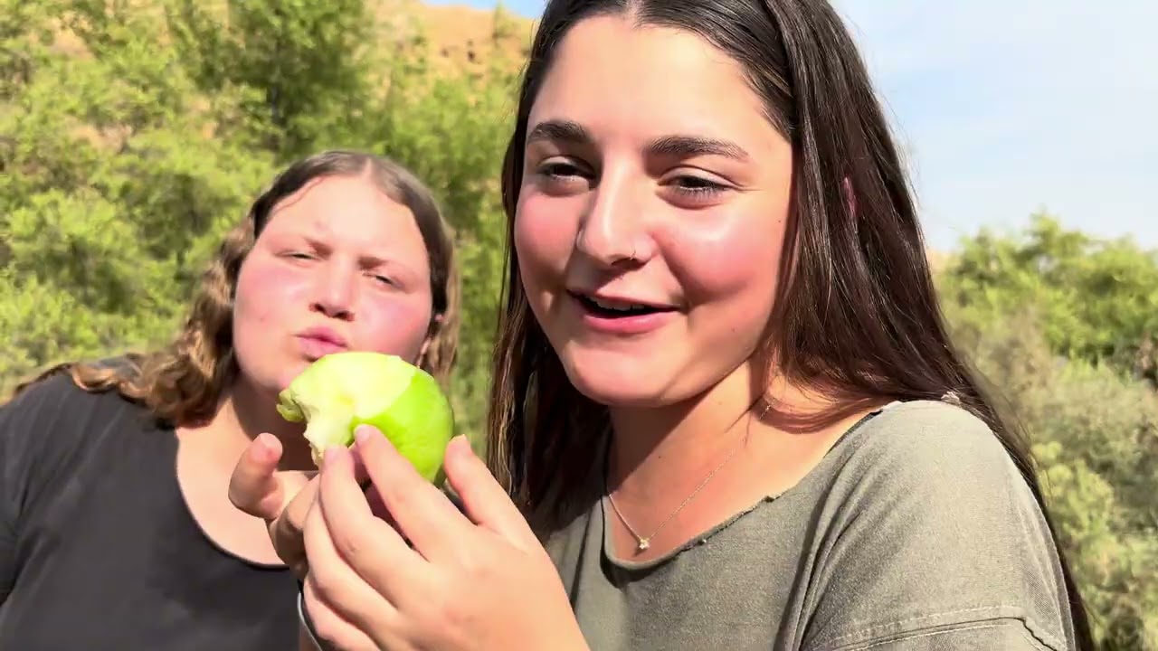 שביעיתשפו סדנת עמקים