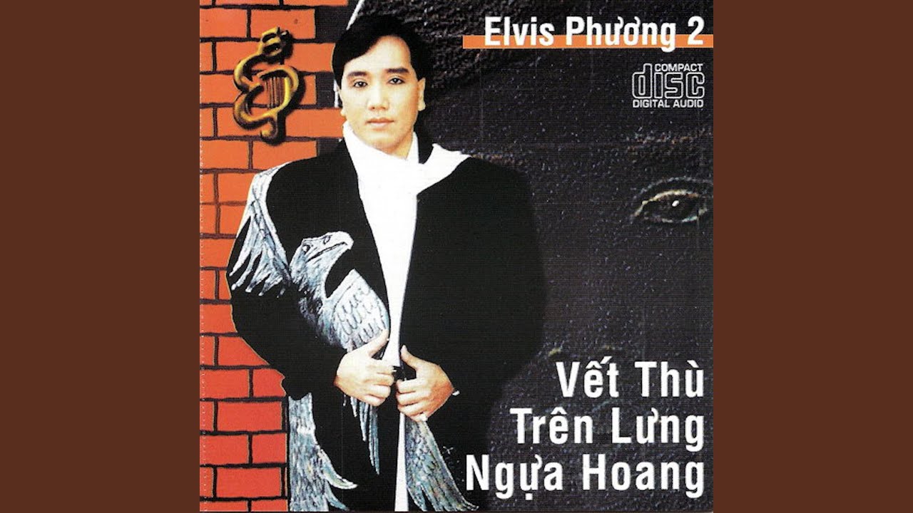 Vết Thù Trên Lưng Ngựa Hoang