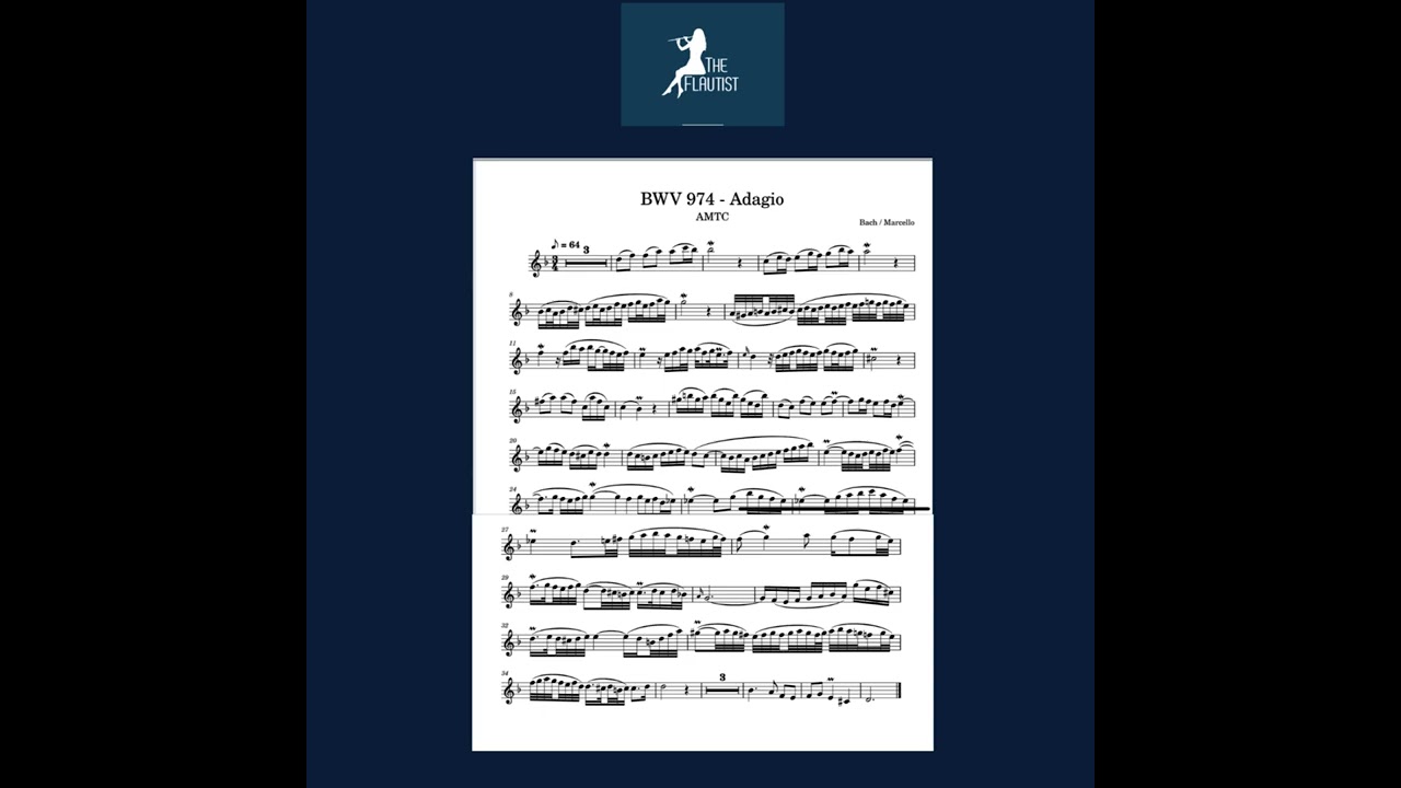Adagio -Concerto in D minor -A.Marcello -Learning score -The Flautist Eileen Gilligan