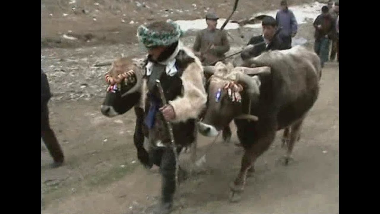 День первой борозды в с.Кани