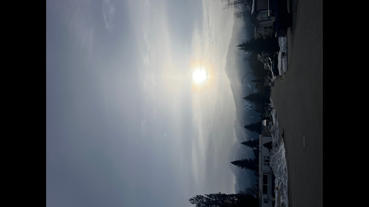 Feb 11, 23, 24, 2026