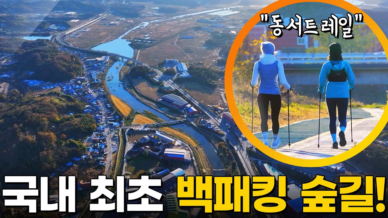 총 849kn 55개 구간! 국내 최초 백패킹이 가능한 숲길, 동서트레일🥾 [영상앨범 산] KBS 251214 방송