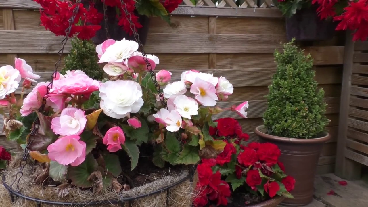Judges From Britain in Bloom Come To Dalston For This Year's Final