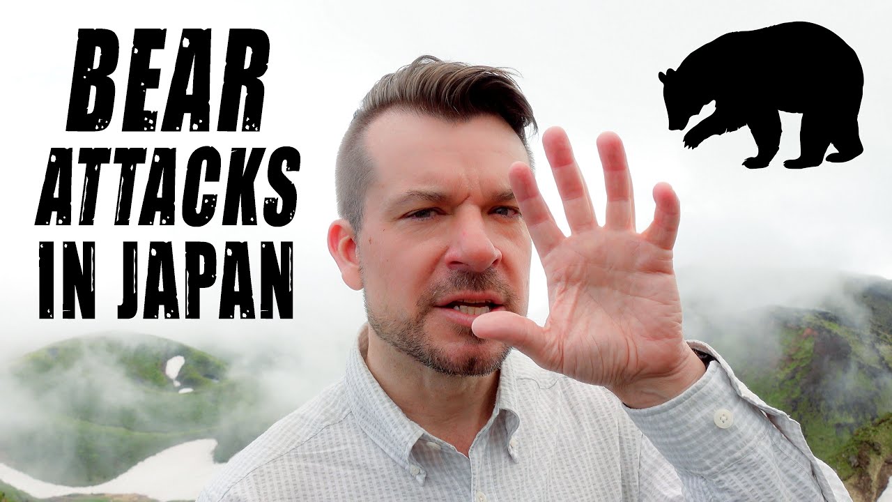 Bear attacks in Japan - risks and how to be safe.