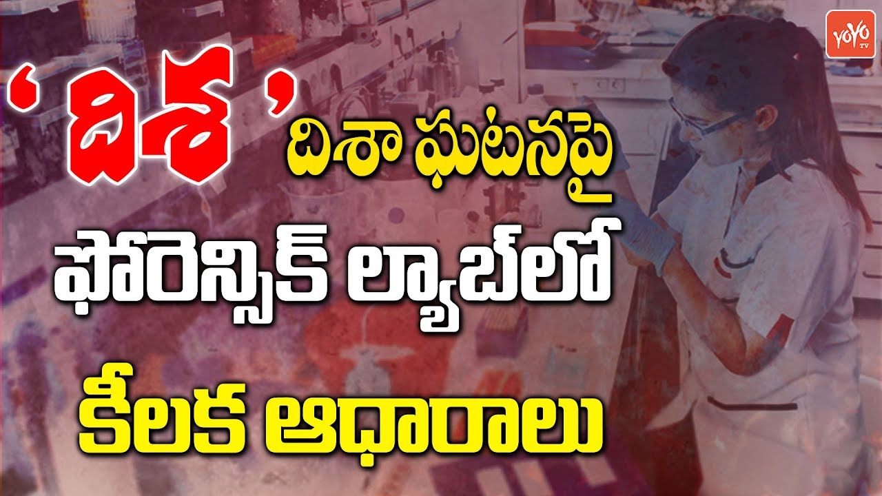 Latest News on Disha forensic lab reports | Hyderabad News | Telangana | YOYO TV Channel