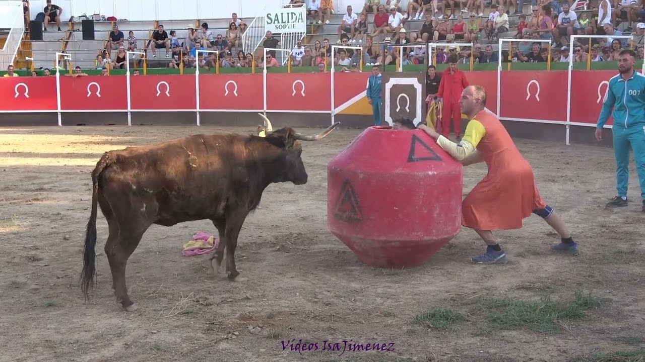 Escatrón (Zaragoza) - 05/08/2022 - Casta Aragonesa - HD