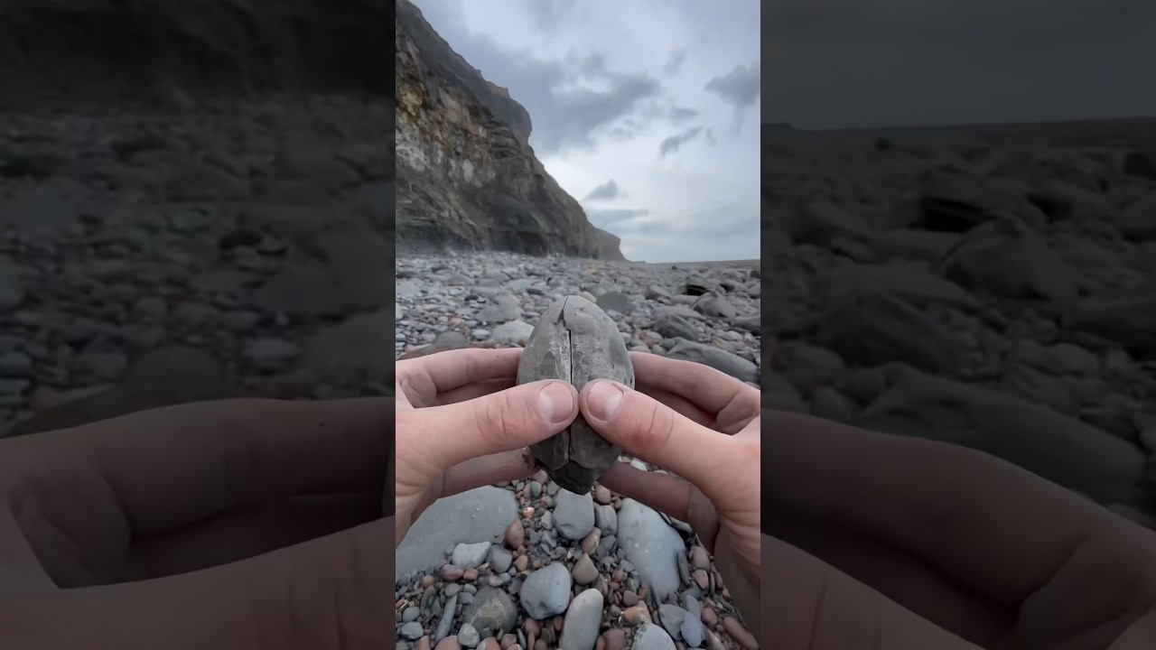 Searching shale for fossils #fossil #hunt #rock #stone #hammer #chisel