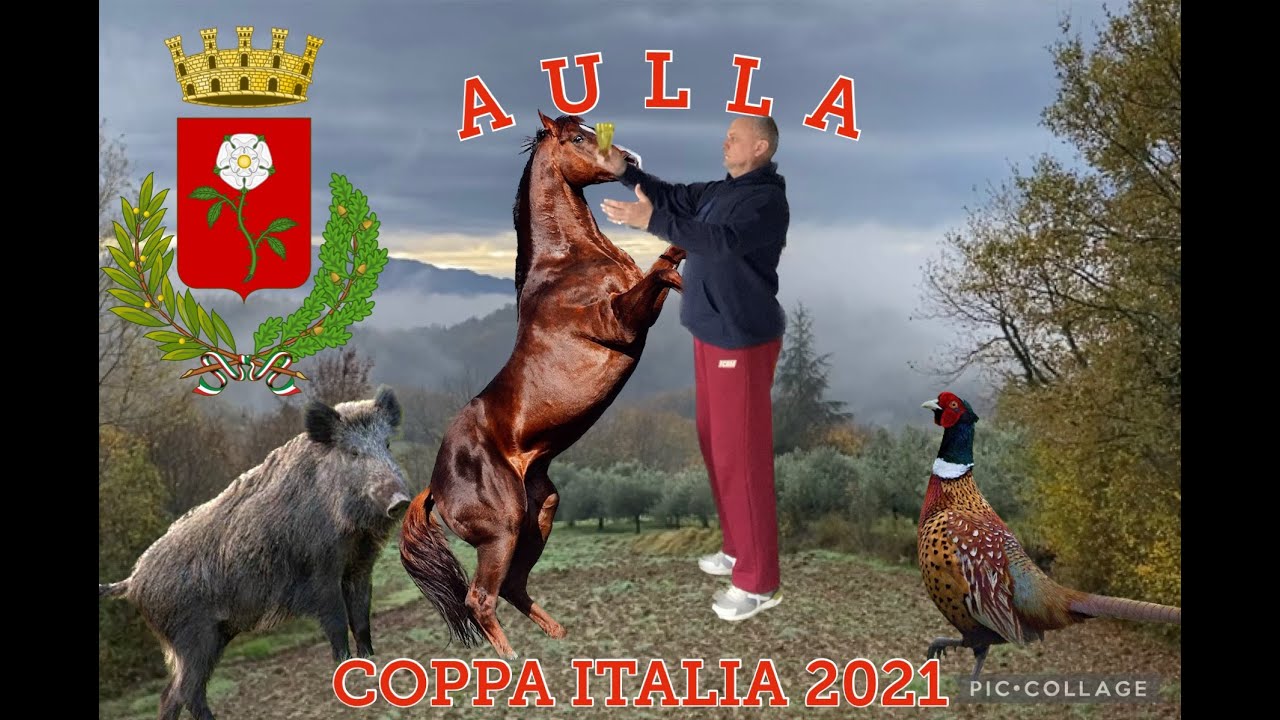 AULLA /АУЛЛА