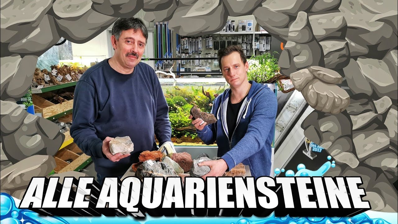 Alle Steinsorten für das Aquarium / welche härten auf & welche nicht