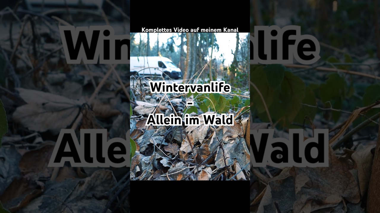 Wintervanlife - Allein im Wald