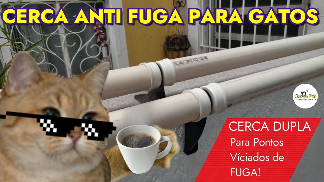 Cerca anti fuga para gatos dupla para pontos viciados de fuga, #cercagatomuro #antifugagatos