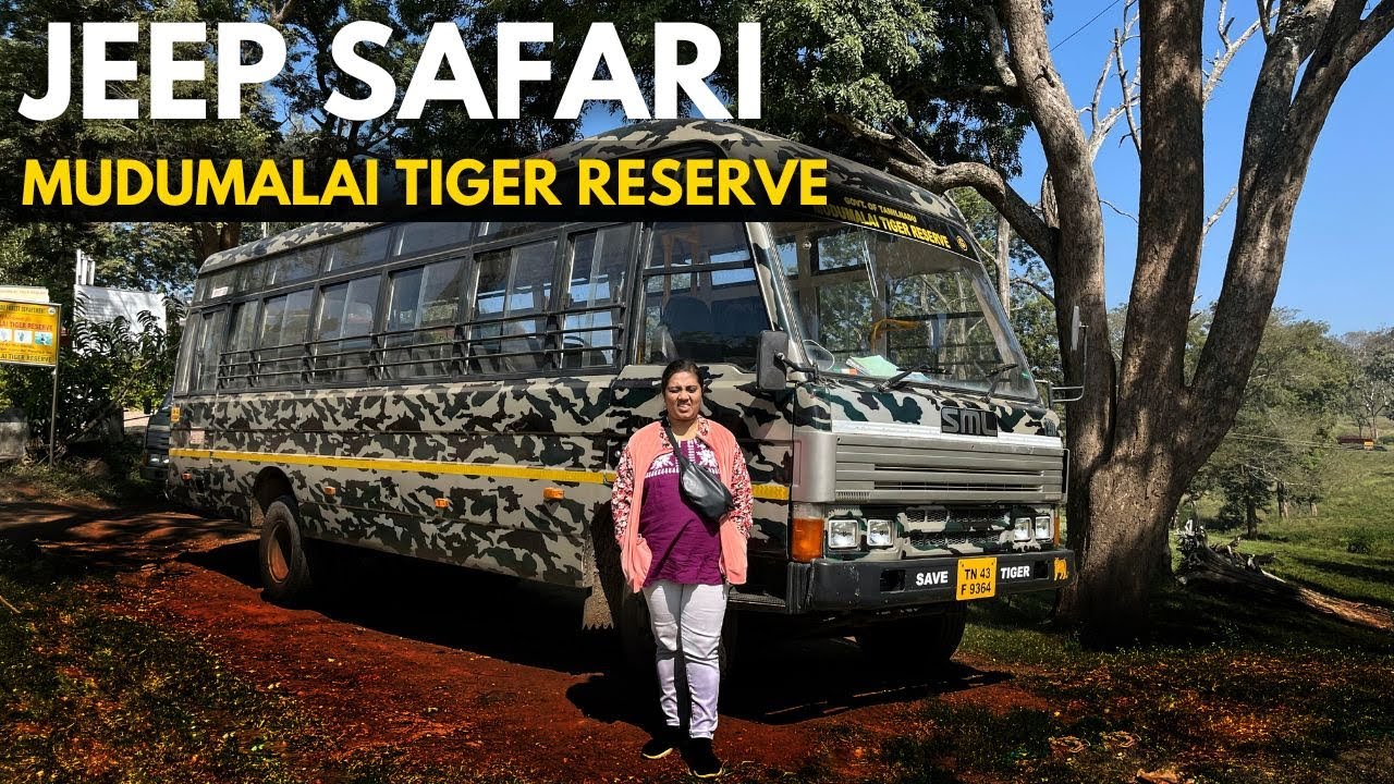 MUDUMALAI JEEP SAFARI - WILD ANIMALS in MUDUMALAI - WILD ANIMALS on CAMERA - MASINAGUDI JEEP SAFARI