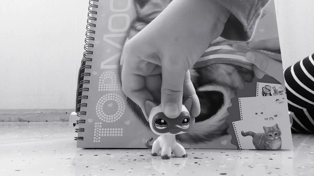 Eka video mit&auml; piditte